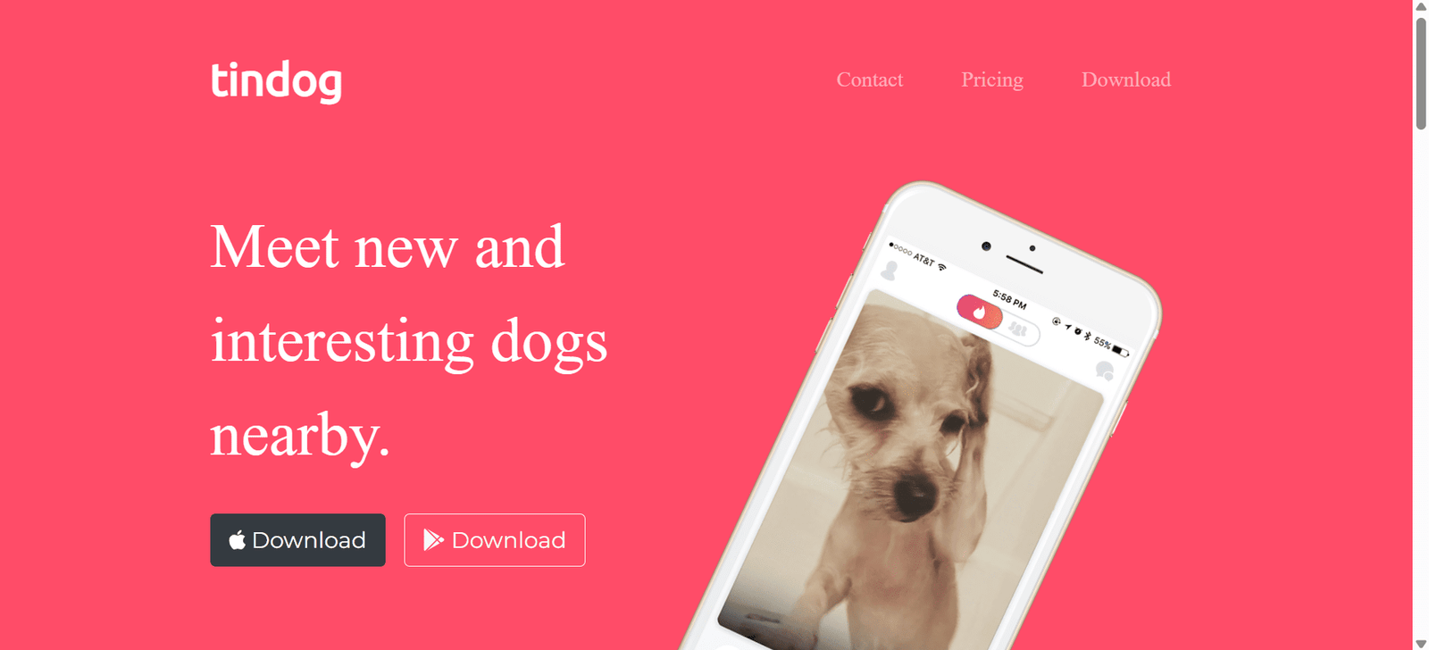 Tindog Responsive Landing Page Hero Section Image