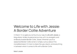 Life with Jessie Personal Blog Website Hero Section Image