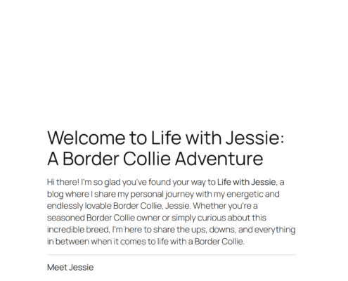 Life with Jessie Personal Blog Website Hero Section Image