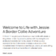 Life with Jessie Personal Blog Website Hero Section Image